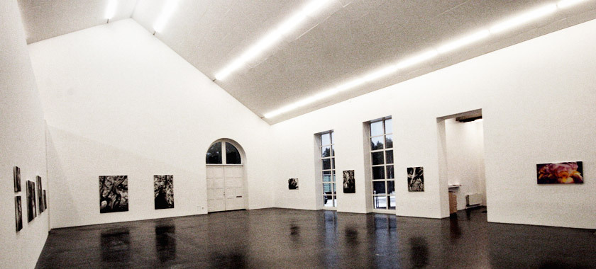Sala espositiva con le opere di Chiara Albertoni allestite