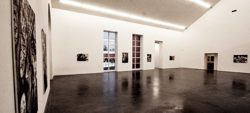 Sala espositiva con le opere di Chiara Albertoni allestite
